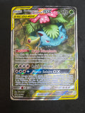 Florizarre et vipelierre gx